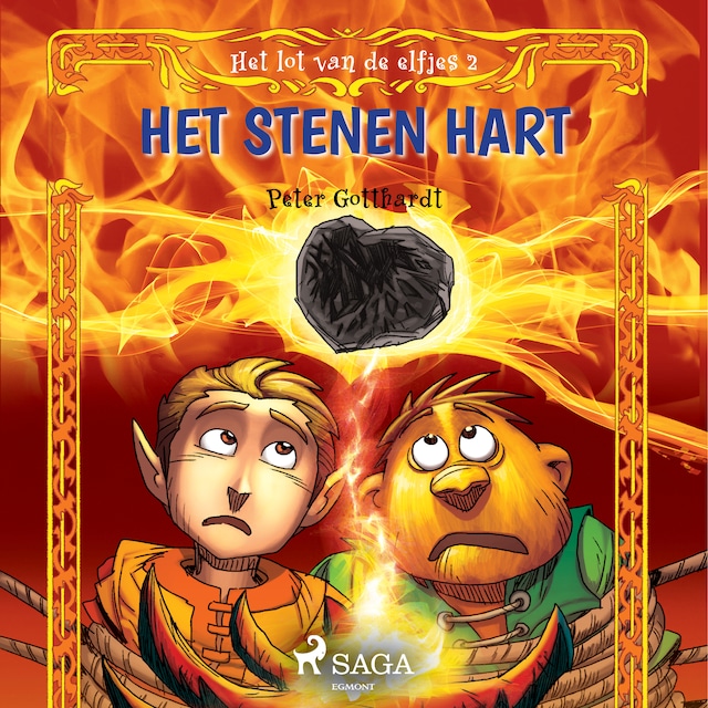 Book cover for Het lot van de elfjes 2 - Het stenen hart