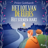 Het lot van de elfjes 2 - Het stenen hart