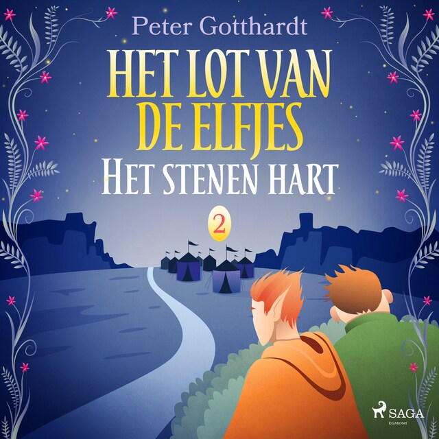 Book cover for Het lot van de elfjes 2 - Het stenen hart