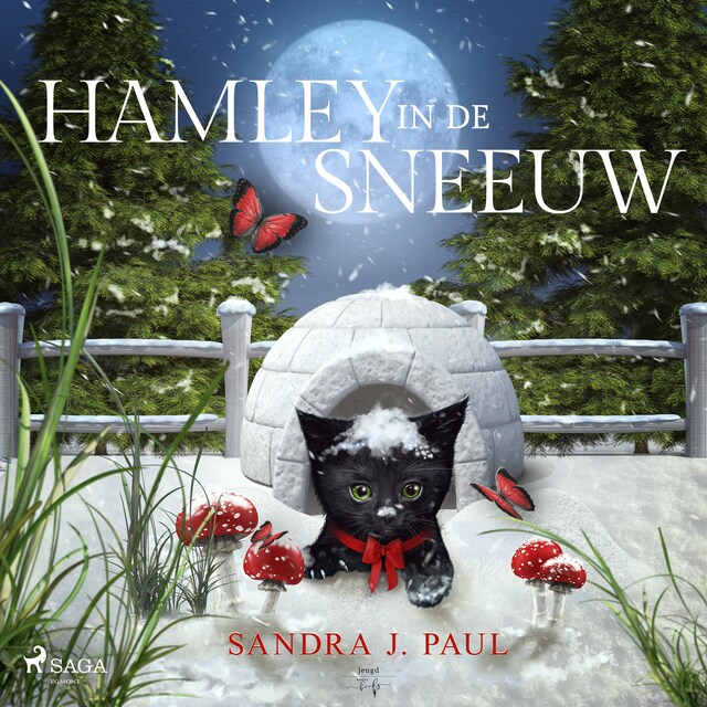 Book cover for Hamley in de sneeuw