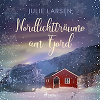 Nordlichtträume am Fjord