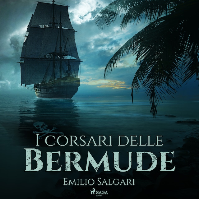 Copertina del libro per I corsari delle Bermude
