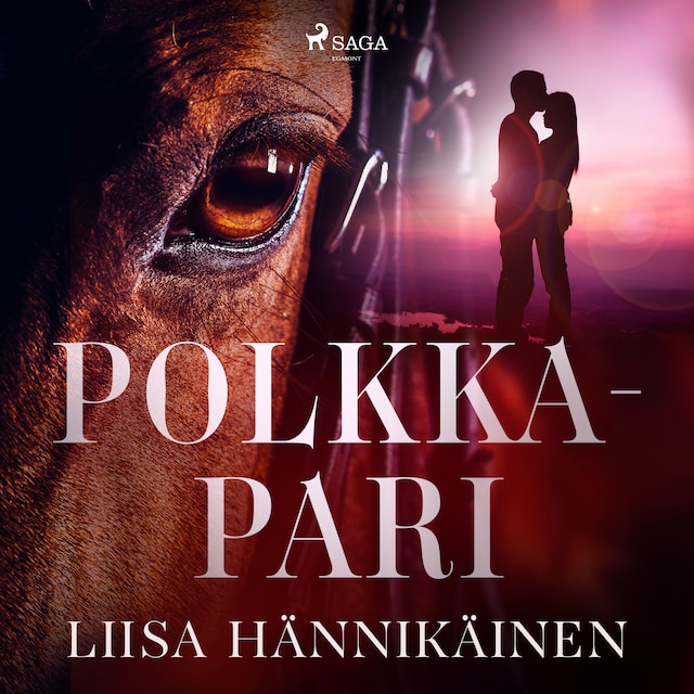 Book cover for Polkkapari