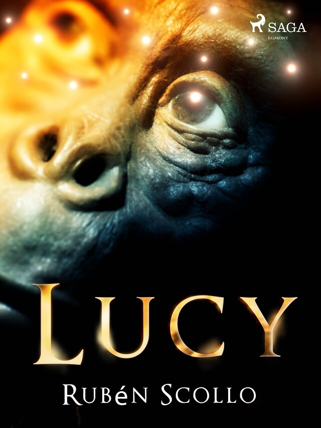 Book cover for Lucy