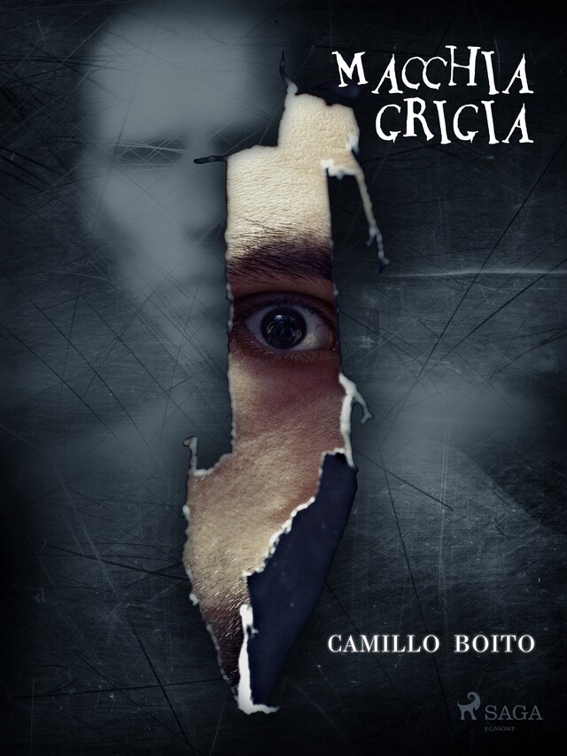 Book cover for Macchia grigia