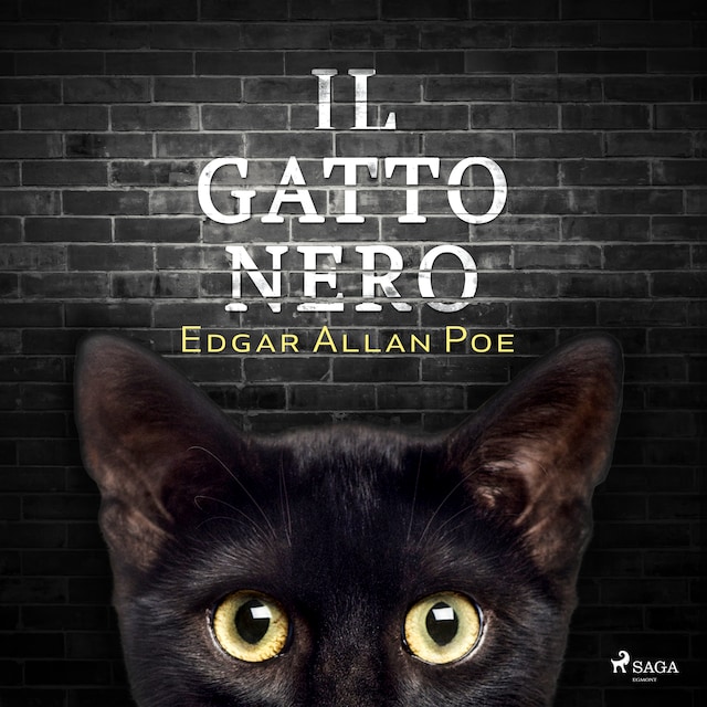 Buchcover für Il gatto nero