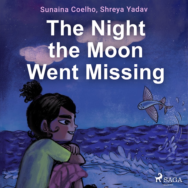 Book cover for The Night the Moon Went Missing