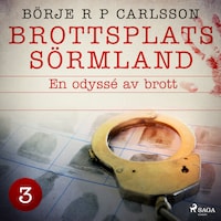 Brottsplats Sörmland. 3, En odyssé av brott