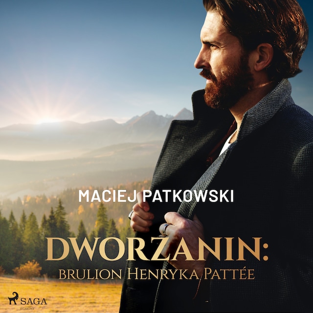 Book cover for Dworzanin: brulion Henryka Pattée