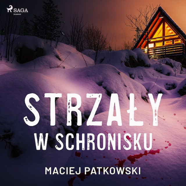 Book cover for Strzały w schronisku