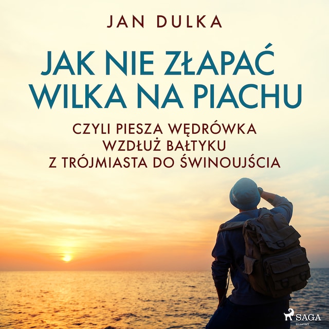 Book cover for Jak nie złapać wilka na piachu, czyli piesza wędrówka wzdłuż Bałtyku z Trójmiasta do Świnoujścia