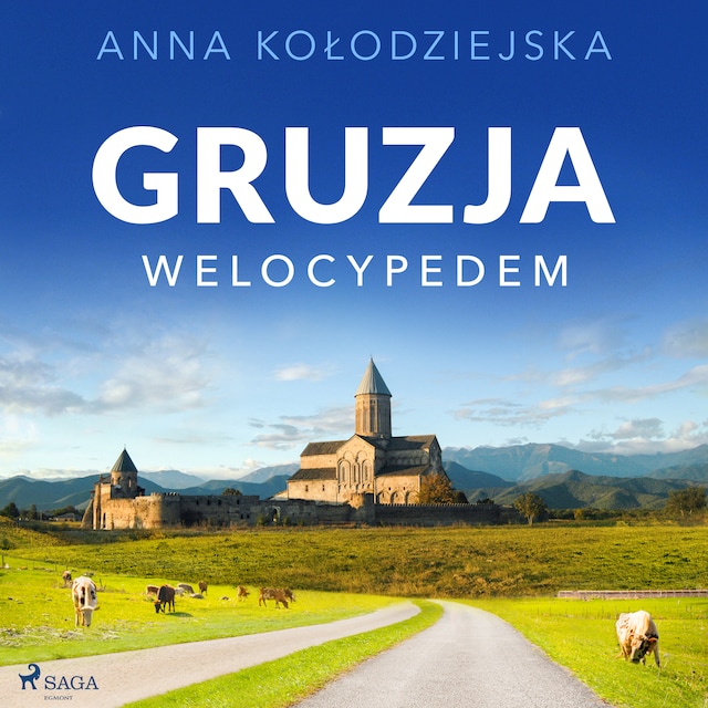 Book cover for Gruzja welocypedem