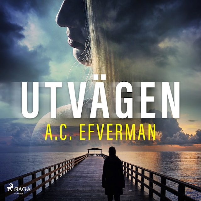 Book cover for Utvägen