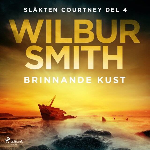 Book cover for Brinnande kust