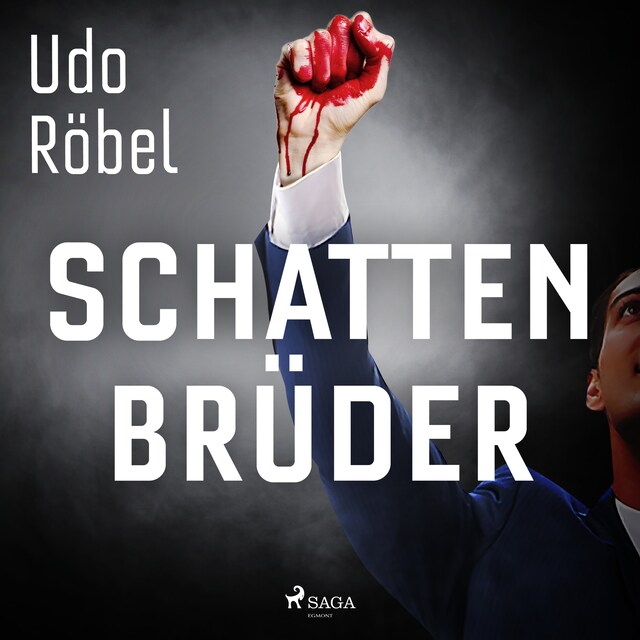 Book cover for Schattenbrüder