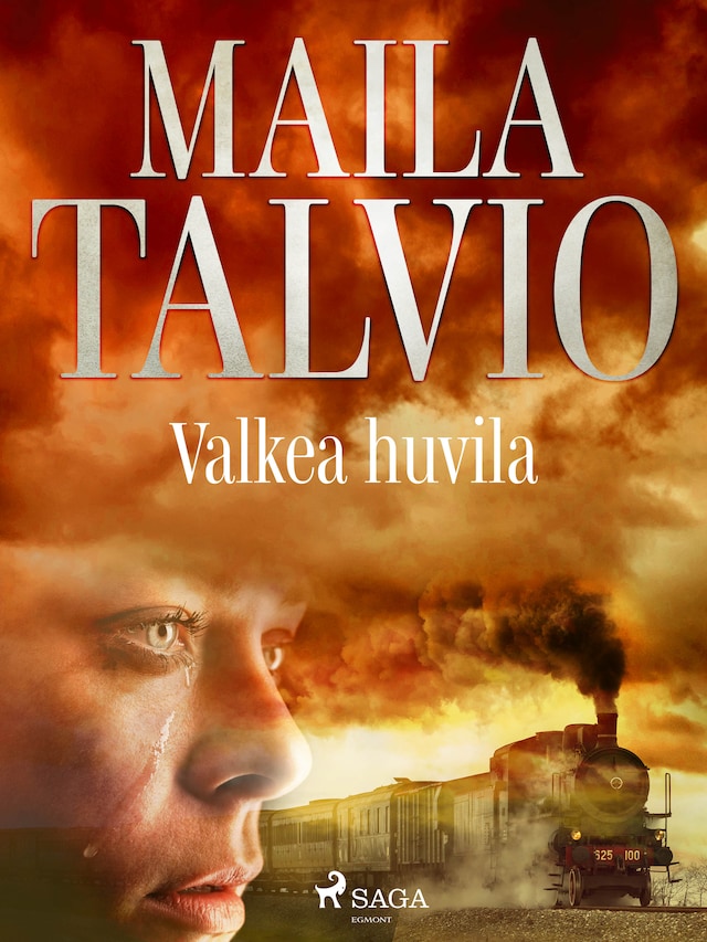 Buchcover für Valkea huvila