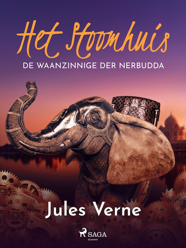 Book cover for Het stoomhuis - De waanzinnige der Nerbudda