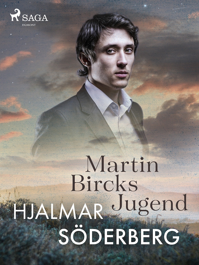 Boekomslag van Martin Bircks Jugend