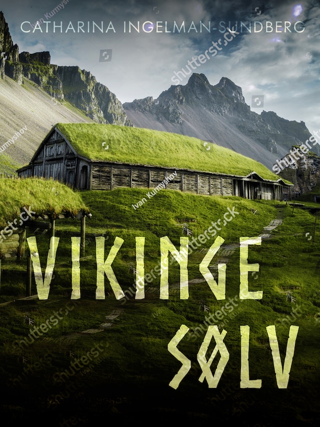 Buchcover für Vikingesølv