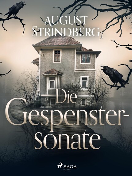 Die Gespenstersonate bookCoverFor