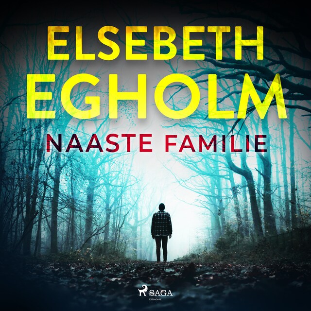 Book cover for Naaste familie