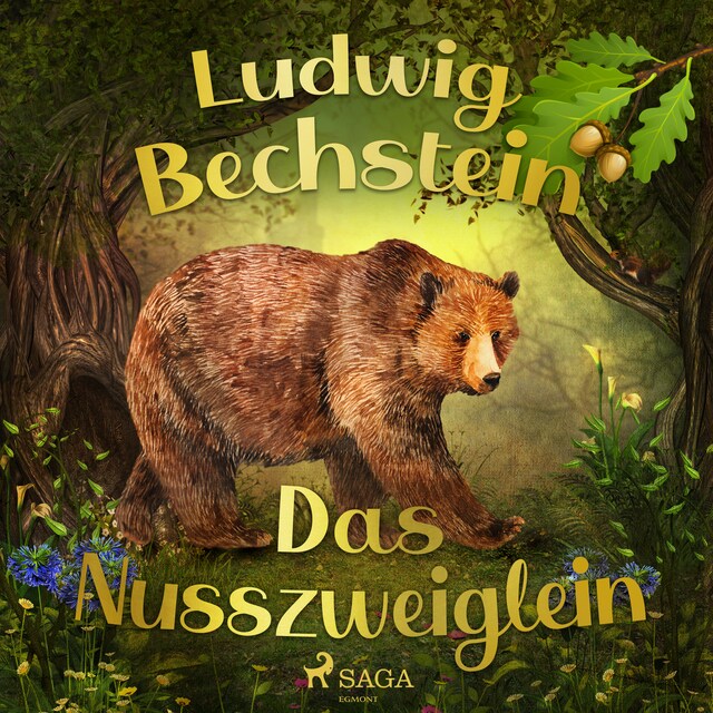 Book cover for Das Nusszweiglein