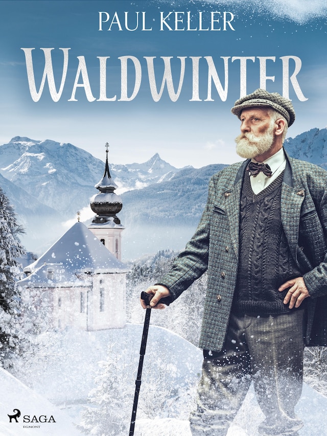 Book cover for Waldwinter