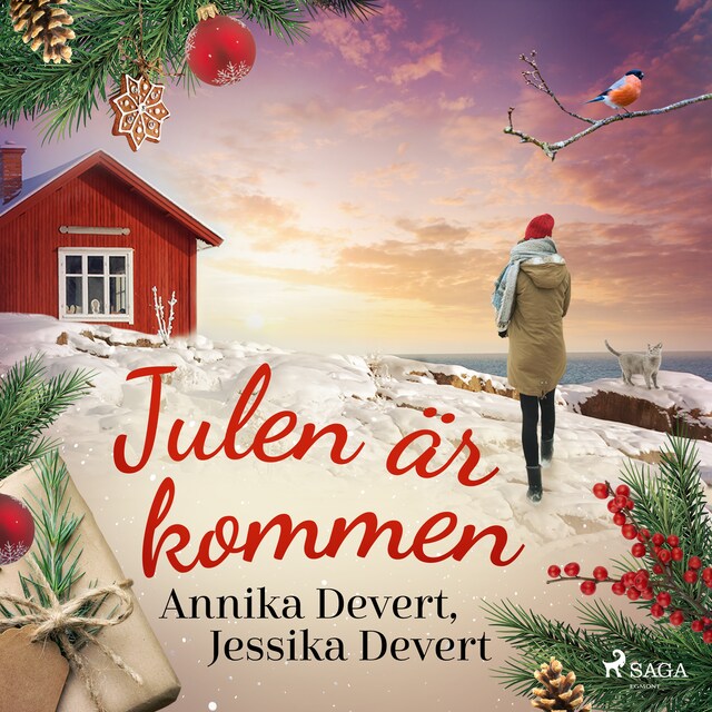 Copertina del libro per Julen är kommen