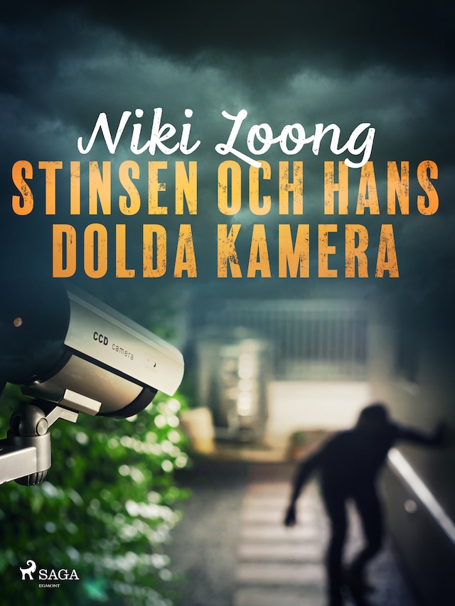 Book cover for Stinsen och hans dolda kamera