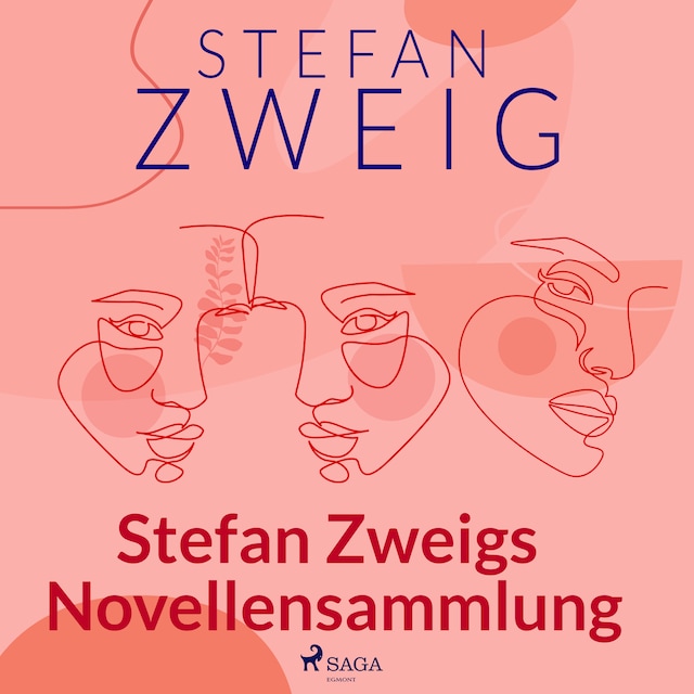 Boekomslag van Stefan Zweigs Novellensammlung