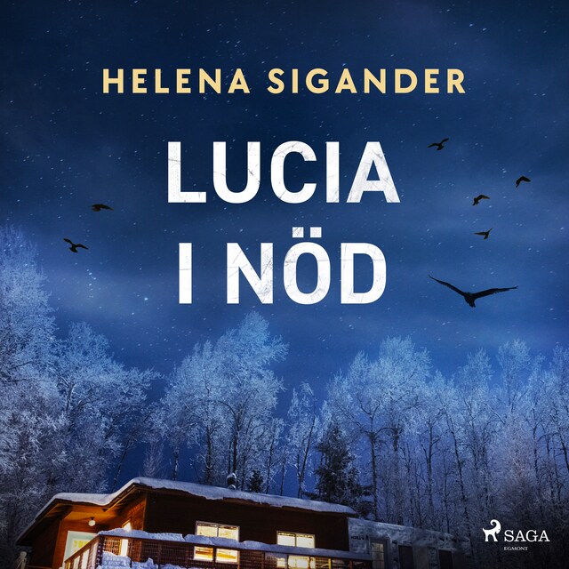 Book cover for Lucia i nöd