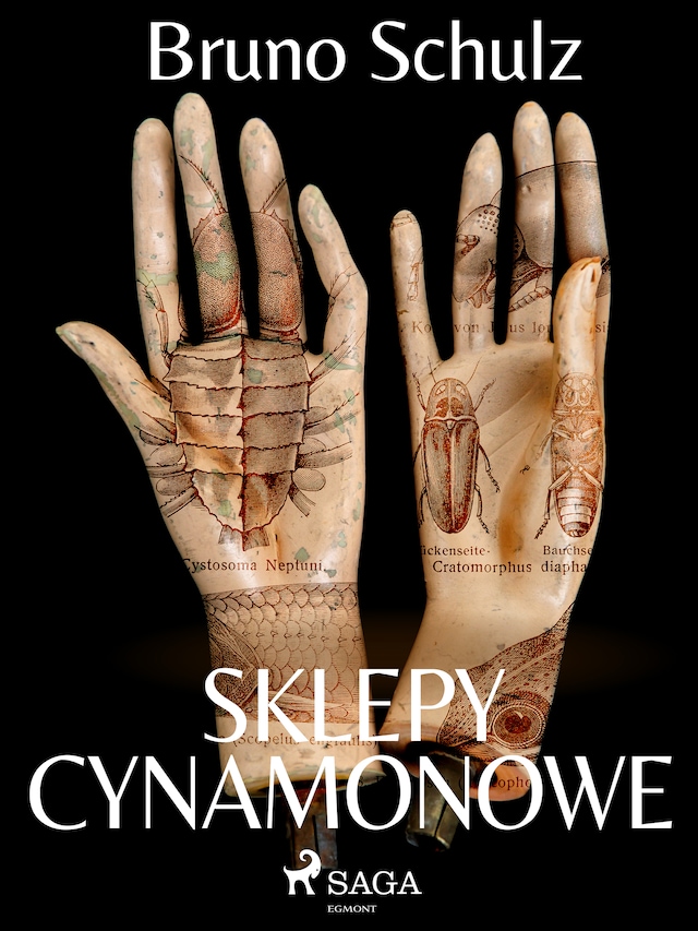 Copertina del libro per Sklepy cynamonowe - zbiór