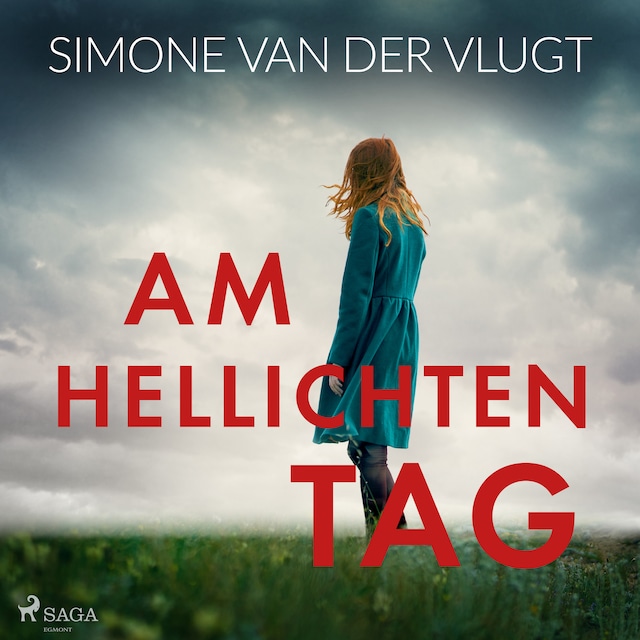 Book cover for Am hellichten Tag