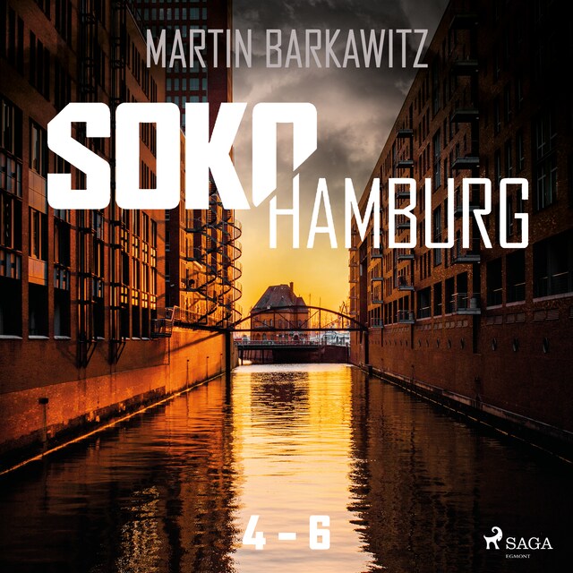 Book cover for Soko Hamburg 4-6