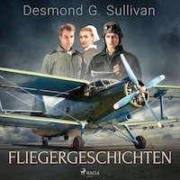 Fliegergeschichten