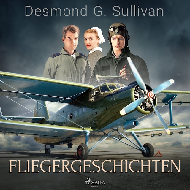 Boekomslag van Fliegergeschichten