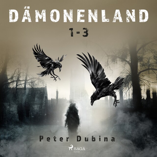 Portada de libro para Dämonenland 1-3