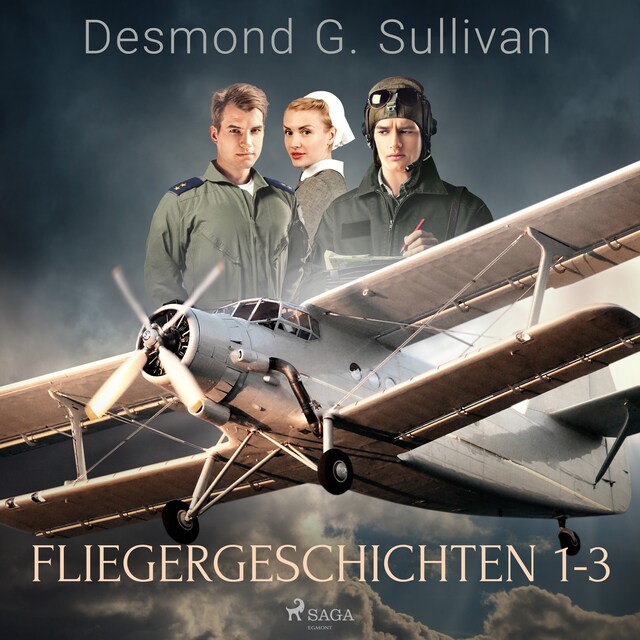 Book cover for Fliegergeschichten 1-3