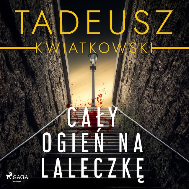 Book cover for Cały ogień na laleczkę