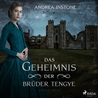 Das Geheimnis der Brüder Tengye als Hörbuch