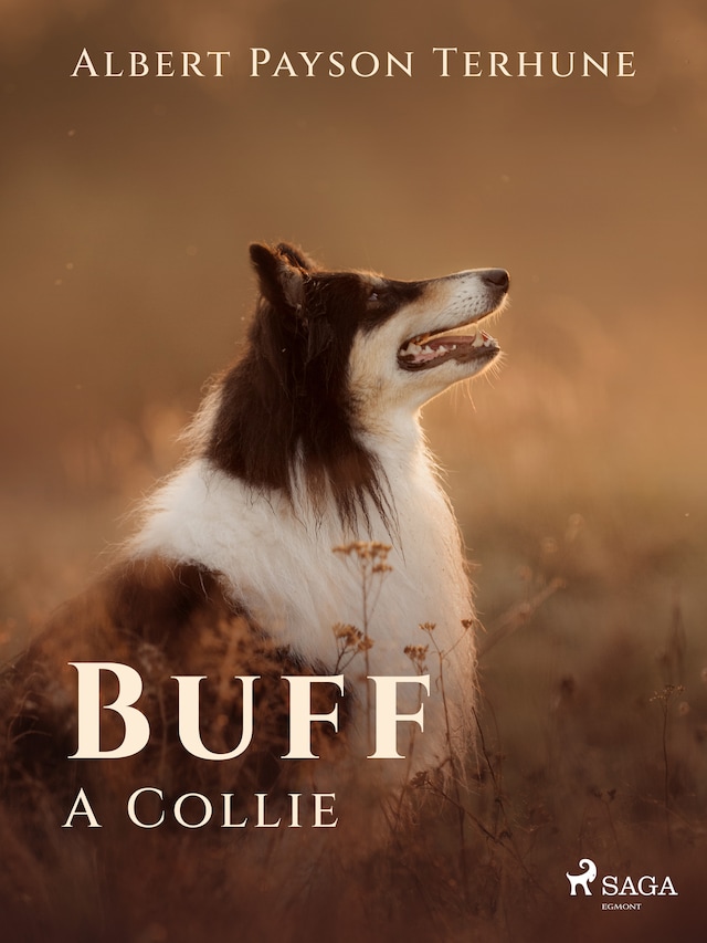 Book cover for Buff: A Collie