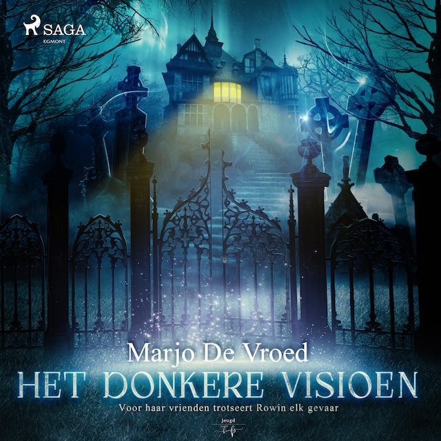 Book cover for Het donkere visioen