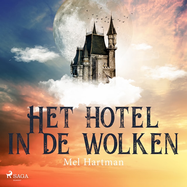Copertina del libro per Het hotel in de wolken