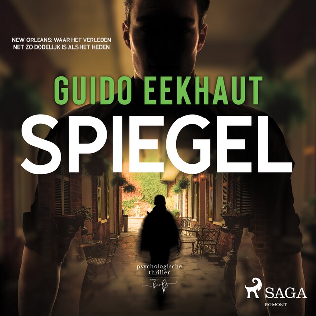 Book cover for Spiegel