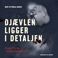 Djævlen ligger i detaljen - Sager fra en kriminalteknikers liv