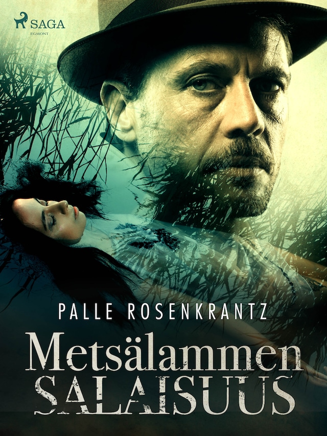 Book cover for Metsälammen salaisuus
