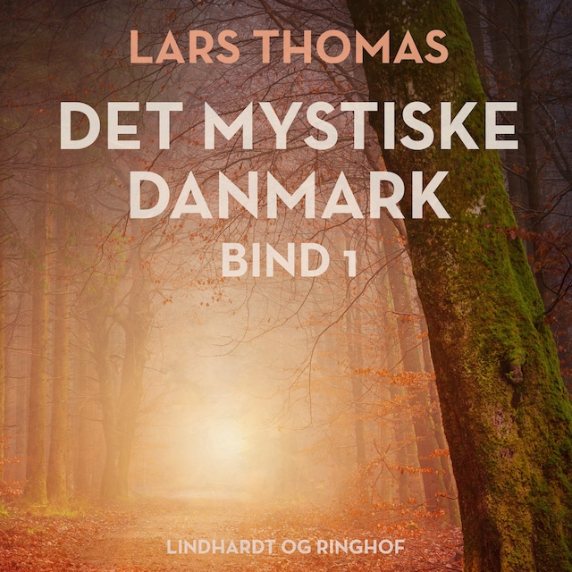 Book cover for Det mystiske Danmark. Bind 1