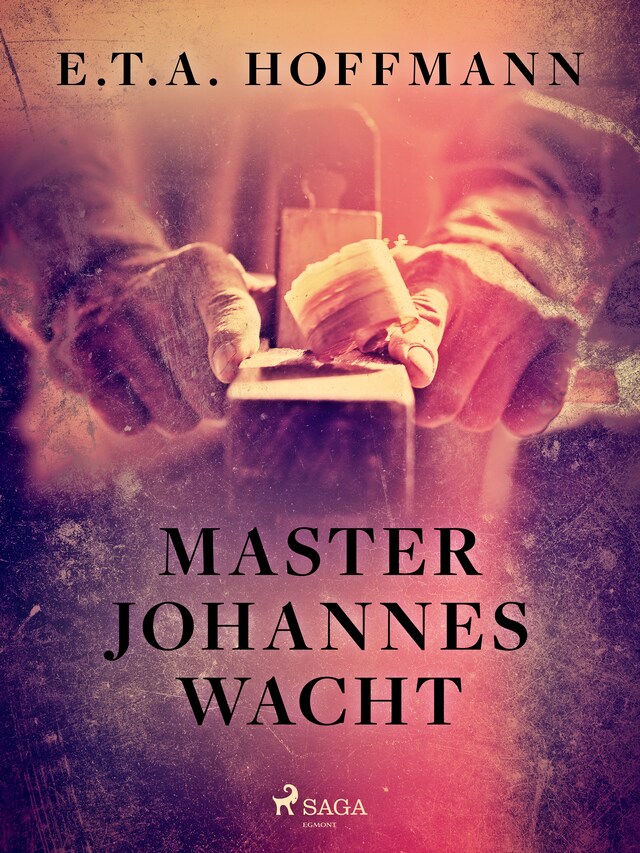 Buchcover für Master Johannes Wacht