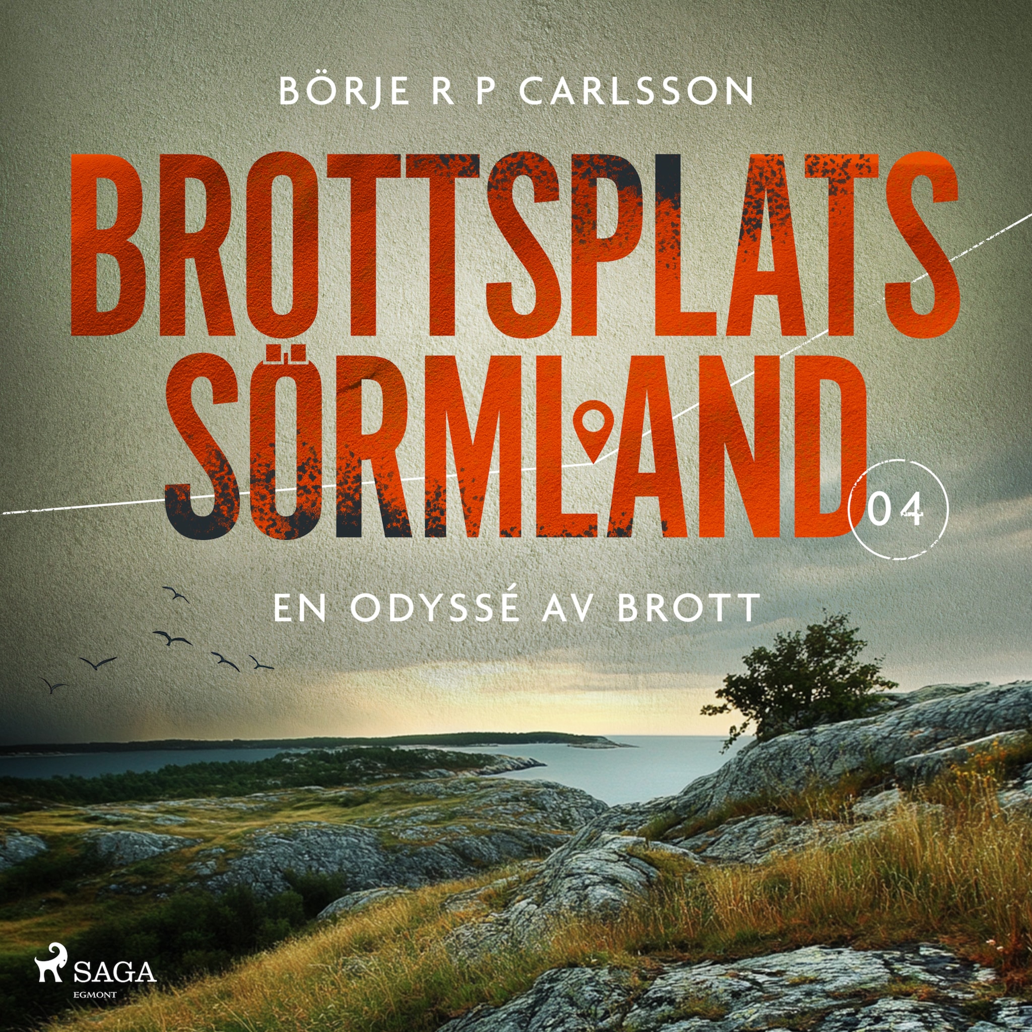 Brottsplats Sörmland. 4, En odyssé av brott