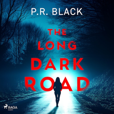 The Long Dark Road: A gripping, atmospheric thriller about how far a mother will go